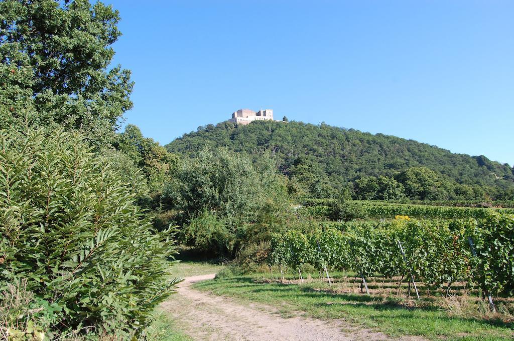 Landgasthof Jaegerstuebchen Нойштадт-ан-дер-Вайнштрасе Екстер'єр фото